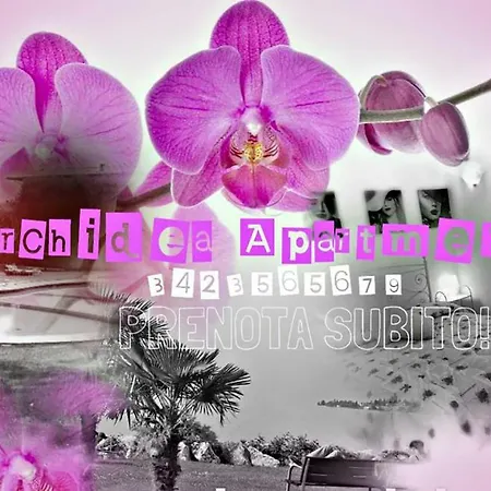 Apartamento Orchidea