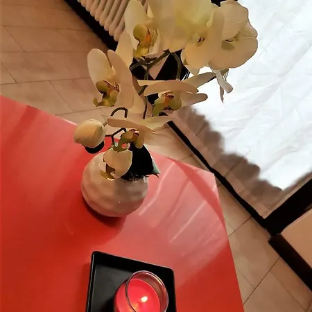 Orchidea Sirmione